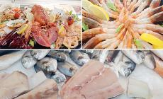 I love pesce, proposta ittica  di grande qualità. Pescheria, gastronomia e tavola