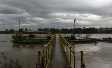 Il fiume Po aumenta di 4 metri in due giorni - Foto 