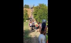 Torna la camminata della malvasia, domani tutti a San Michele Tiorre