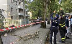 Via Montanara, cade un grosso ramo durante la festa: due feriti