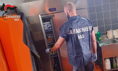 Cucina da incubo in un  albergo-ristorante della Bassa: multa di 2mila euro al titolare