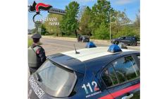 Langhirano, controlli in  ristoranti, bar e negozi etnici: violazioni e multe