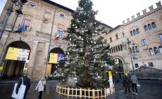 L’albero di Natale di piazza Garibaldi sarà donato dal Comune di Cavalese