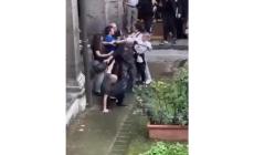 Muore il cane e assaltano il dipartimento di Veterinaria dell'Università Federico II