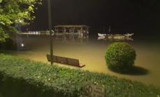 Sacca di Colorno, in un video la frazione sott'acqua. Superlavoro dei vigili del fuoco: 70 richieste interventi tra citt&agrave; e Bassa