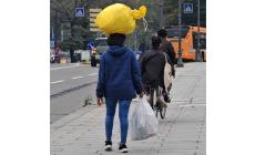 Raccolta differenziata, dal marciapiede alla testa: lo scatto a Parma