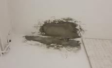 Aula 5 del liceo Bertolucci, si stacca l'intonaco "ma non solo" - Le foto