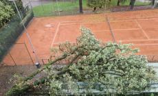 Salso, cade una quercia al Tennis club: tribuna e scalinate danneggiate  - Le foto 