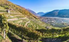 Valtellina l'oro rosso nel bicchiere