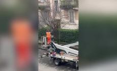 Alberi tagliati in via Villa, protesta dei residenti - Il video dell'intervento 