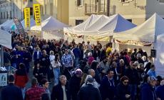 Cosa fare oggi in citt&agrave; e in provincia 