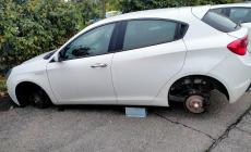 Parcheggio di via Langhirano: "parlano le foto"