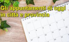 Gli appuntamenti di oggi, sabato 15 marzo, in città e provincia