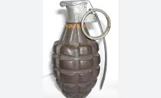 Trovata una bomba a mano vicino a un cassonetto dei rifiuti in centro a Mantova