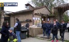 Polesine, entra nel vivo la seconda tappa del November Porc - Video