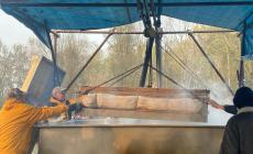 November Porc, il "pretone" divorato in pochi minuti - Le foto