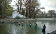 Riqualificazione del parco Ducale. Al via lo svuotamento della peschiera - Le foto
