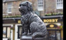 Greyfriars Bobby, cane speciale simbolo di amicizia e fedelt&agrave;