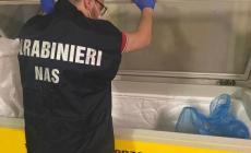 Dai controlli per la peste suina africana spuntano 200 chili di altri tipi di carne non tracciabili