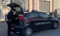 Fornovo:  ruba i soldi dai distributori di una società sportiva. Ma il "corto" delle telecamere lo incastra