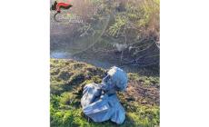 Ritrovato in un canale il busto di Giuseppe Verdi rubato lo scorso agosto