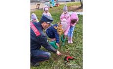 Un albero per il futuro: i carabinieri hanno consegnato e piantato, assieme a sindaci, docenti ed alunni di numerose scuole del territorio un'ottantina di piantine