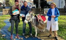 Benvenuto Camillo, l'asinello che dona libri ai piccoli ricoverati  