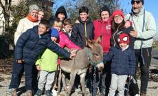 Cabriolo, è  arrivato Pannocchia l'asinello «figlio dell'alluvione»
