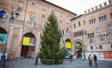 Da Cavalese a piazza Garibaldi: è arrivato l'albero di Natale