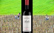 Santa Tresa Sicilia  Nero d&rsquo;Avola Avulisi  Riserva 2018