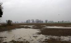 Nella Bassa piove da ore,  allagamenti nei campi ma nessun danno 