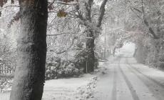 Langhirano, dai 10 centimetri caduti nella notte ai 30 centimetri del tardo pomeriggio  - Foto e video