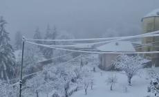 Risveglio dell'Immacolata sotto la neve (15 cm) anche per Tarsogno e Tornolo - Foto e Video