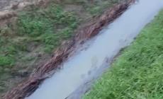 San Polo: odore di gasolio nei canali di scolo, i residenti preoccupati per il danno ambientale - Video