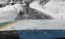 Capriolo bloccato nella neve dopo un volo dal dirupo: il video del recupero