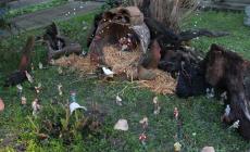 I presepi del Po a Zibello e Busseto- fotogallery