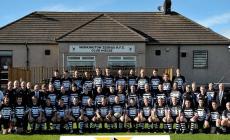 Zebre, non solo Parma: si trovano anche in Inghilterra. Dal 1877 