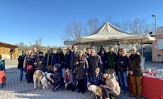 Natale al canile-gattile, in attesa della... nuova vita