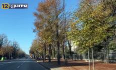 Bel tempo fino a San Silvestro con gelate notturne. Unica variabile... la nebbia