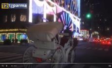 Parmigiani in vacanza a Capodanno con rincari del  30%, pochi last minute - Video