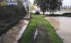 Pioggia e, soprattutto, caldo torrido a Parma: un 2024 da record - Video