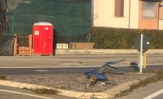 "Filotto" di segnaletica verticale alle due rotatorie in zona Campus - Foto