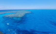 Tornato a casa a Soncino l'italiano ferito dallo squalo a Marsa Alam