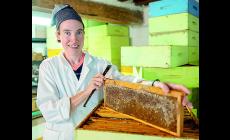 Le api di Tiziana: "Non c'è miele senza sinergia fra insetti, fiori e ambiente"
