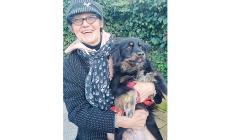 Enpa, adottati 38 cani: molti di loro maltrattati e tolti da brutti canili del Sud