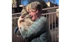 Quando l’emergenza chiama: i pets in situazioni critiche  