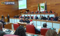 Sanit&agrave;, Fabi: "Entro gennaio le nomine nelle aziende sanitarie di Parma" - Video