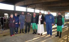 Sant'Antonio Abate, benedizione degli animali e altri riti nella Bassa - Le foto