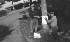 Una presenza amica per chi si metteva in  viaggio e i cantonieri sorvegliavano le strade statali