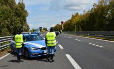 Parma, telefonini alla guida:  a 4 automobilisti ritirata la patente e multe salatissime
